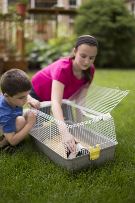 Prevue Pet Products Universal Travel Carrier for Small Animals & Birds, Gray