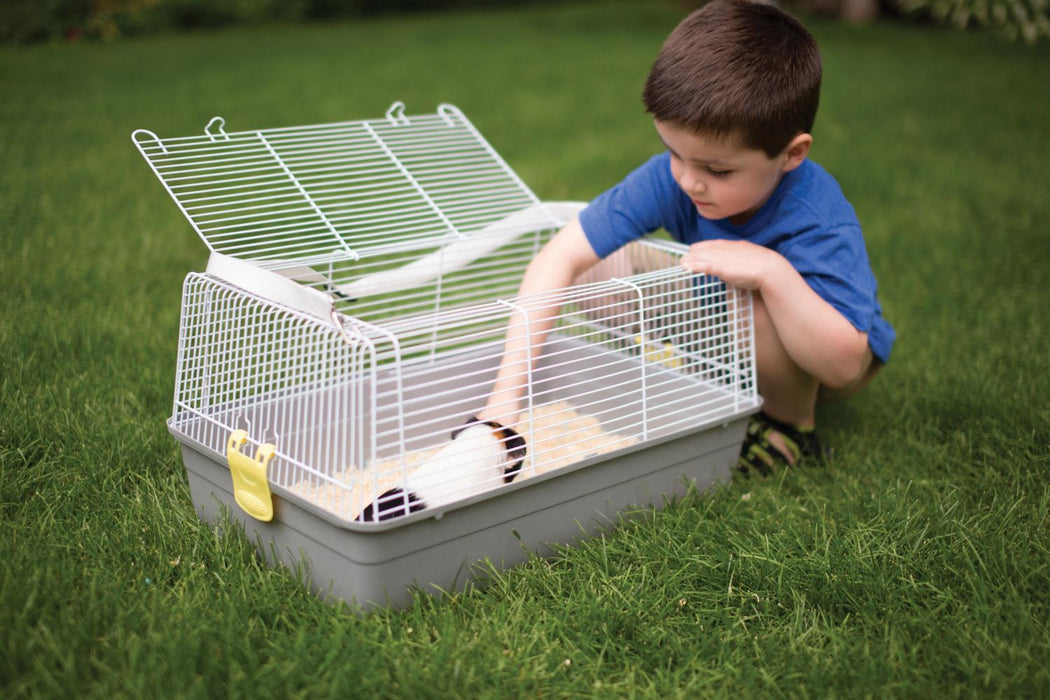 Prevue Pet Products Universal Travel Carrier for Small Animals & Birds, Gray