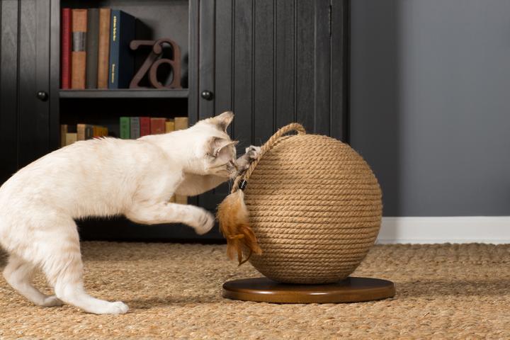 Prevue Pet Products Kitty Power Paws Sphere Scratching Post, 13" H