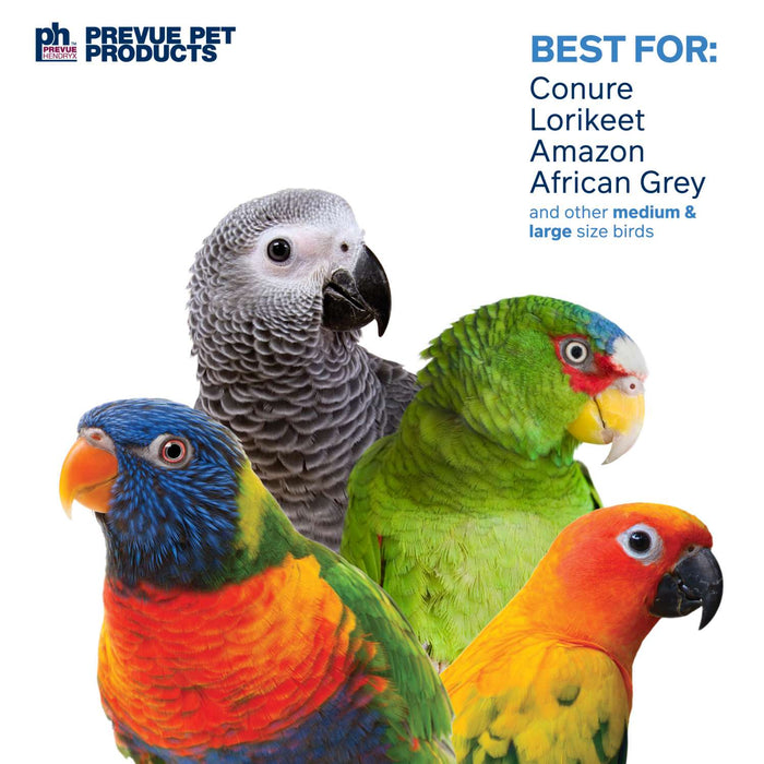 Prevue Pet Products Bodacious Bites Ferris Wheel Bird Toy, Multi-Colored