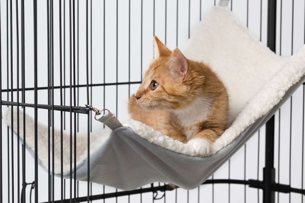 Prevue Pet Products Replacement Hammock for Cat Cages