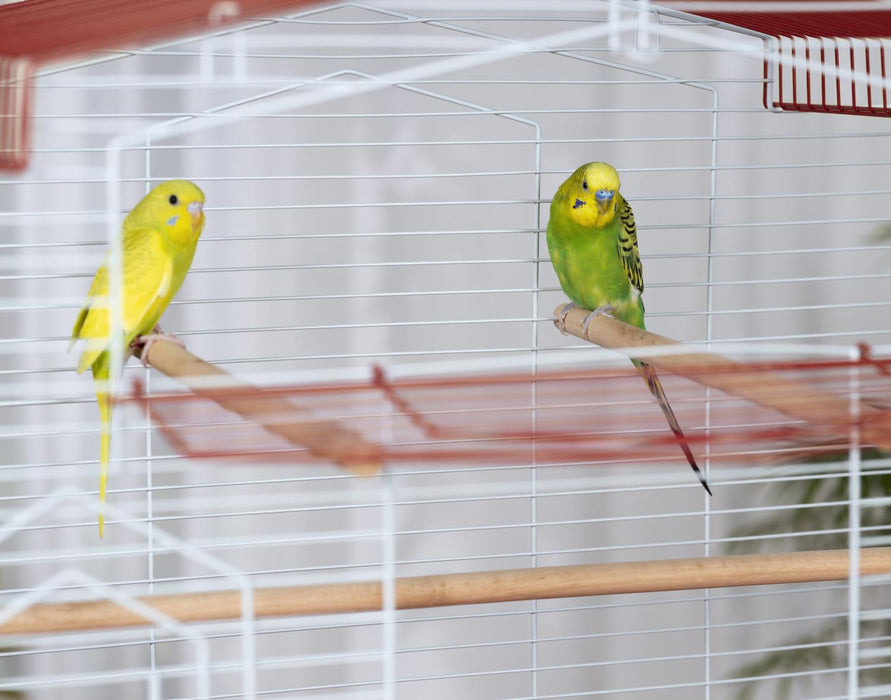 Prevue Pet Products Cockatiel Flight Bird Cage