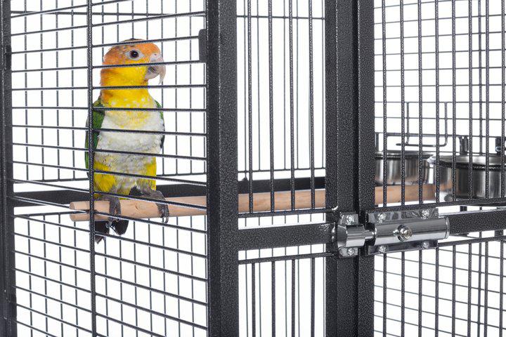 Prevue Pet Products Small Dome Top Cage