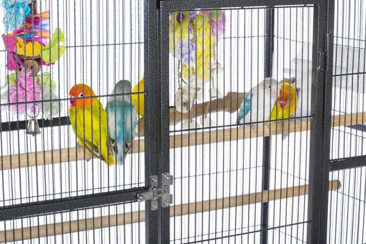 Prevue Pet Products Powder-coated steel construction Flight Cage with Stand