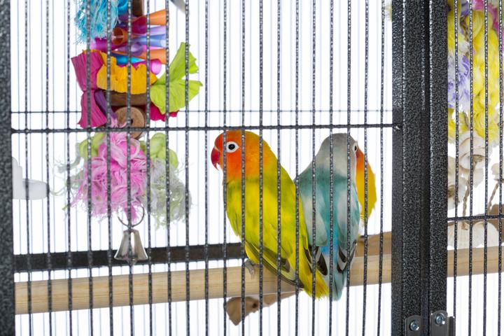 Prevue Pet Products Powder-coated steel construction Flight Cage with Stand