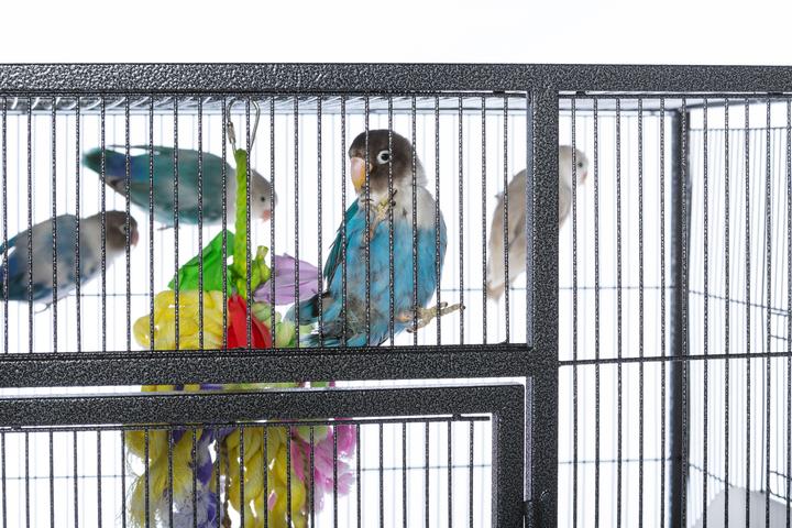 Prevue Pet Products Powder-coated steel construction Flight Cage with Stand