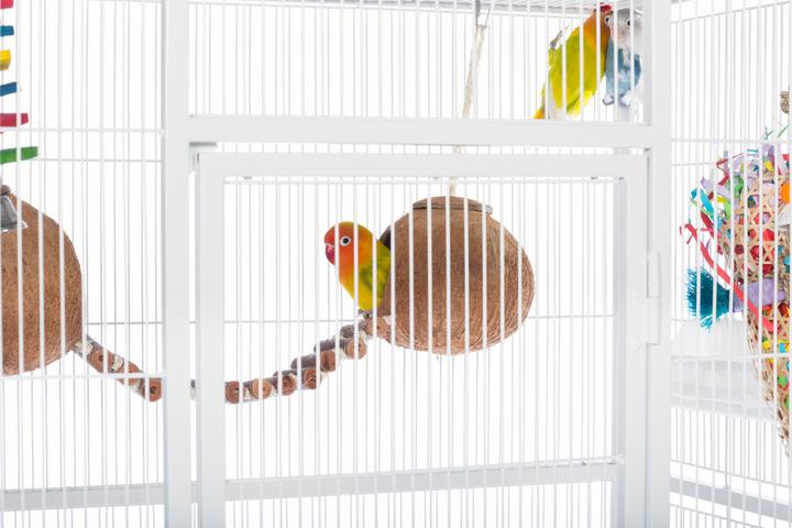 Prevue Pet Products Powder-coated steel construction Flight Cage with Stand