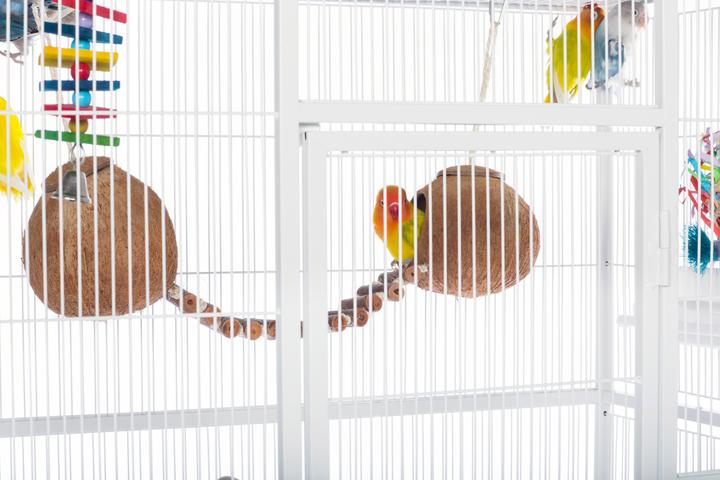 Prevue Pet Products Powder-coated steel construction Flight Cage with Stand