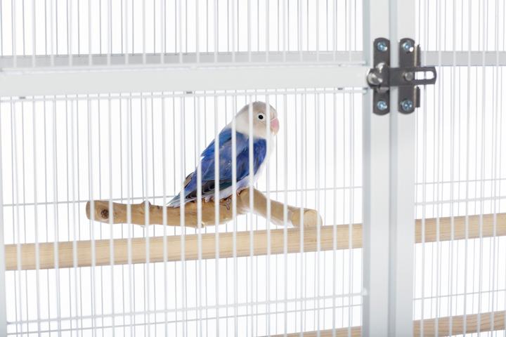 Prevue Pet Products Powder-coated steel construction Flight Cage with Stand