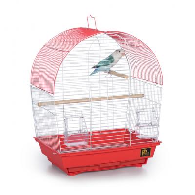 Prevue Pet Products South Beach Dome Top Bird Cage