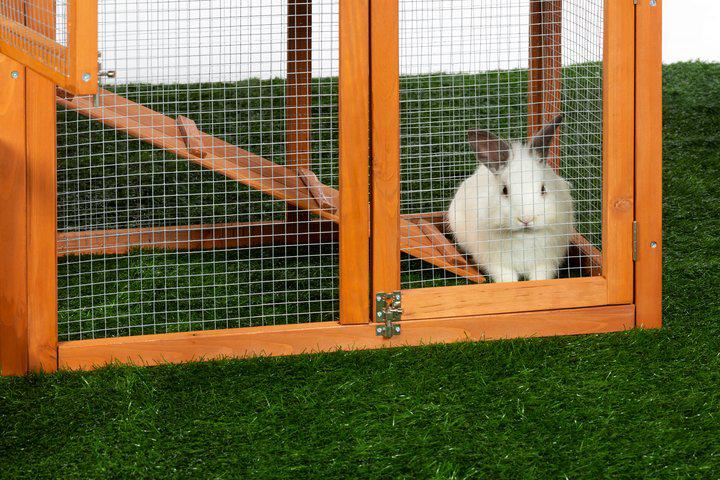 Prevue Pet Products Rabbit Breeding Hutch with Double-Run
