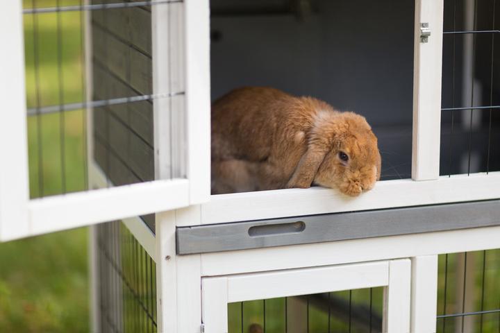 Prevue Pet Products Rabbit Breeding Hutch Duplex