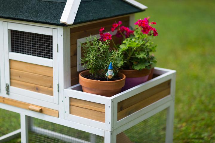 Prevue Pet Products Chicken Coop with Herb Planter