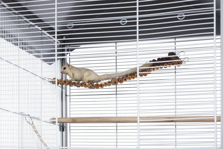 Prevue Pet Products Charming Aviary Flight Cage Large