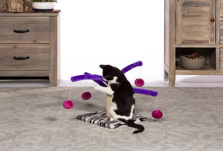 Prevue Pet Products Bounce 'N Spring Cat Scratcher