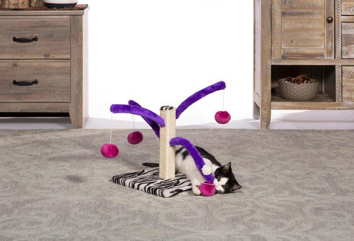 Prevue Pet Products Bounce 'N Spring Cat Scratcher