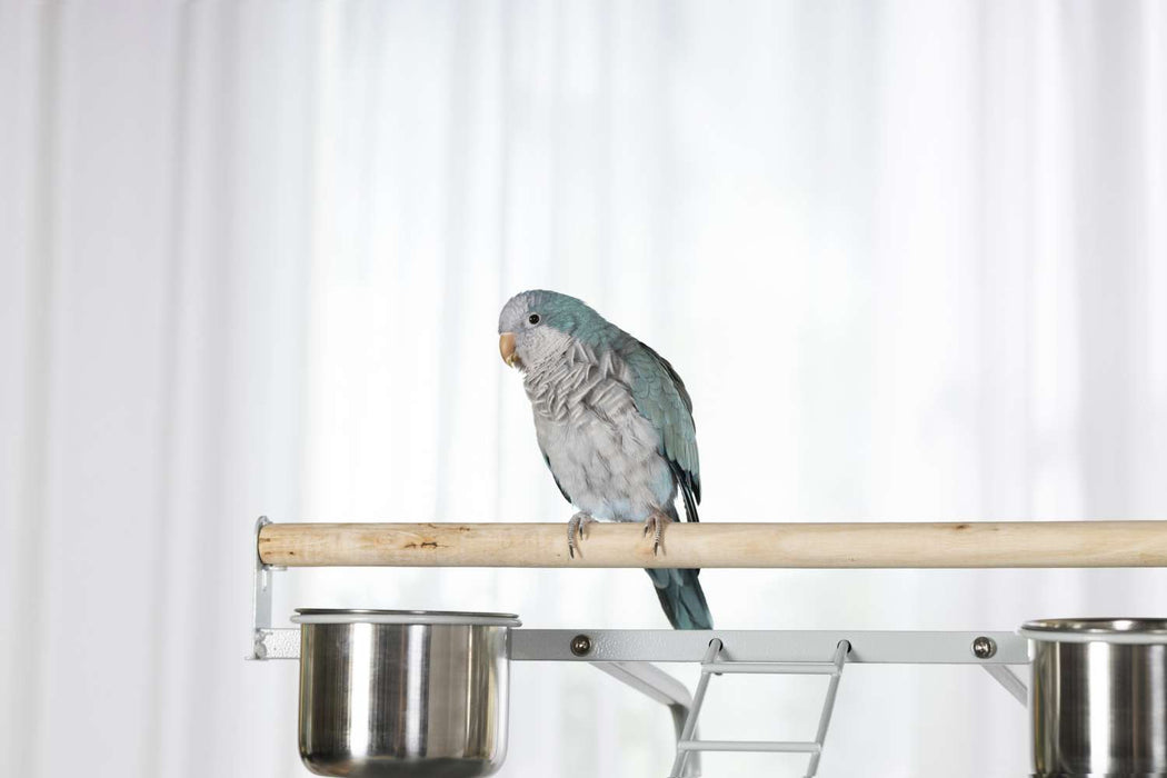 Prevue Pet Products Playtop 24" Bird Home