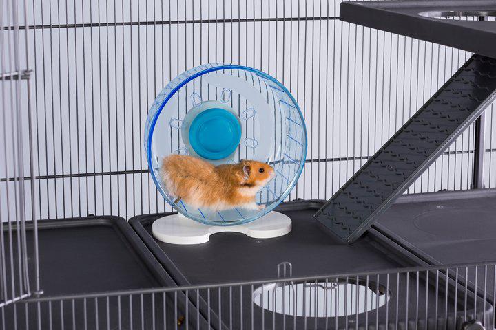 Prevue Pet Products Quiet Wheel for Small Animals