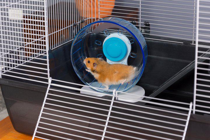 Prevue Pet Products Quiet Wheel for Small Animals