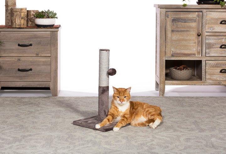 Prevue Pet Products Play and Scratch for Cats