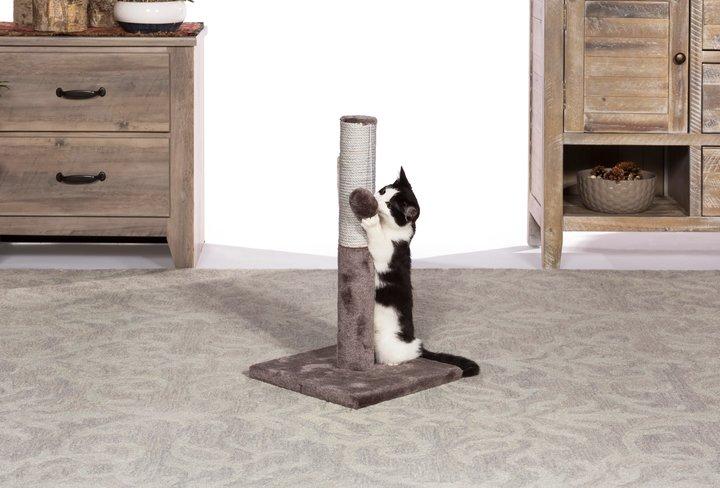 Prevue Pet Products Play and Scratch for Cats