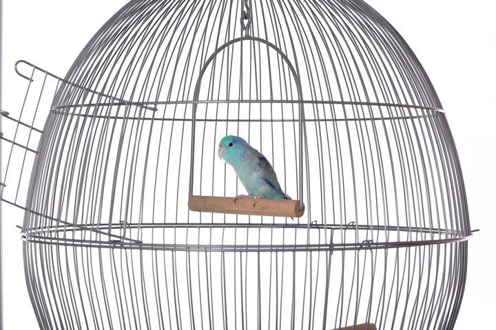 Prevue Pet Products Sonata Bird Home