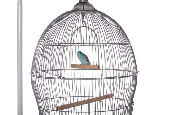 Prevue Pet Products Sonata Bird Home
