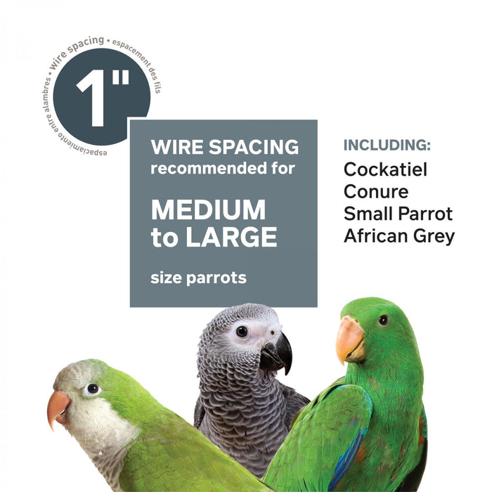 Prevue Pet Products Large Stainless Steel Bird Cage