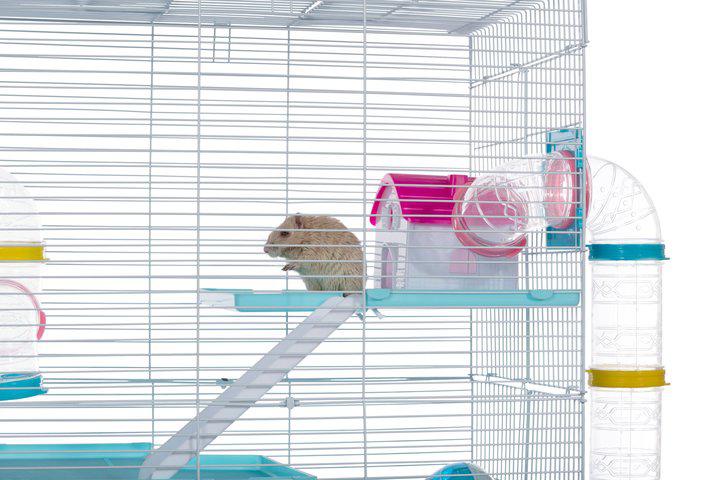 Prevue Pet Products Hamster Playhouse