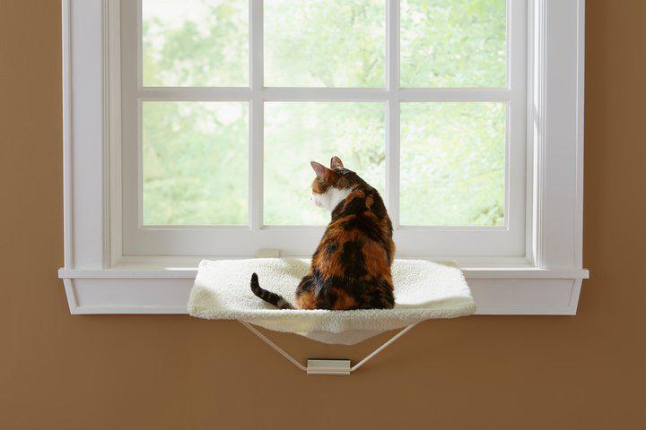 Prevue Pet Products Cat TabbyNapper
