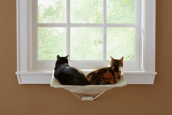 Prevue Pet Products Cat TabbyNapper