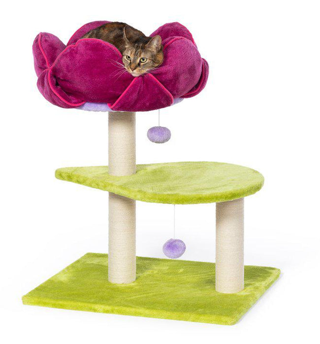 Prevue Pet Products Kitty Power Paws Flower Power for Cats, Green & Pink