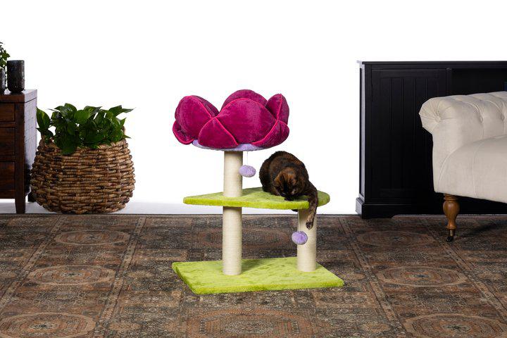 Prevue Pet Products Kitty Power Paws Flower Power for Cats, Green & Pink