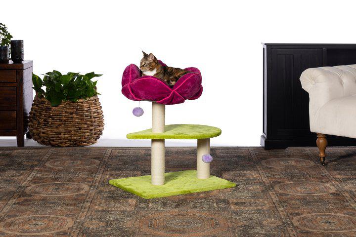 Prevue Pet Products Kitty Power Paws Flower Power for Cats, Green & Pink