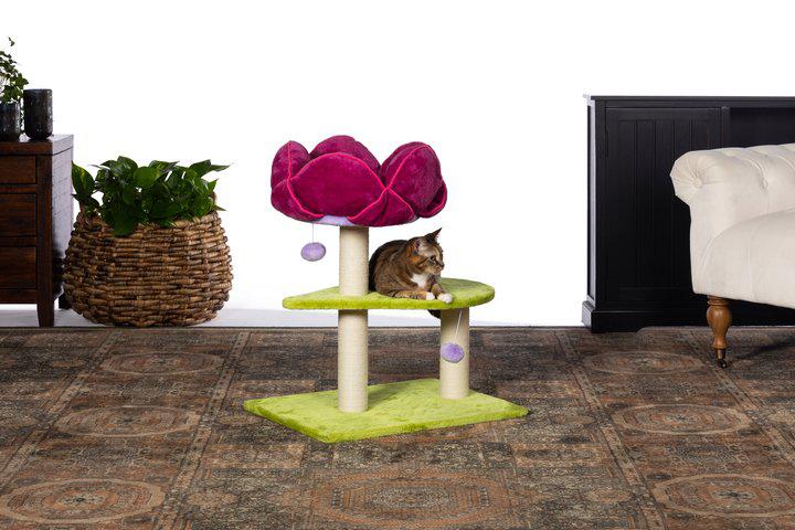 Prevue Pet Products Kitty Power Paws Flower Power for Cats, Green & Pink