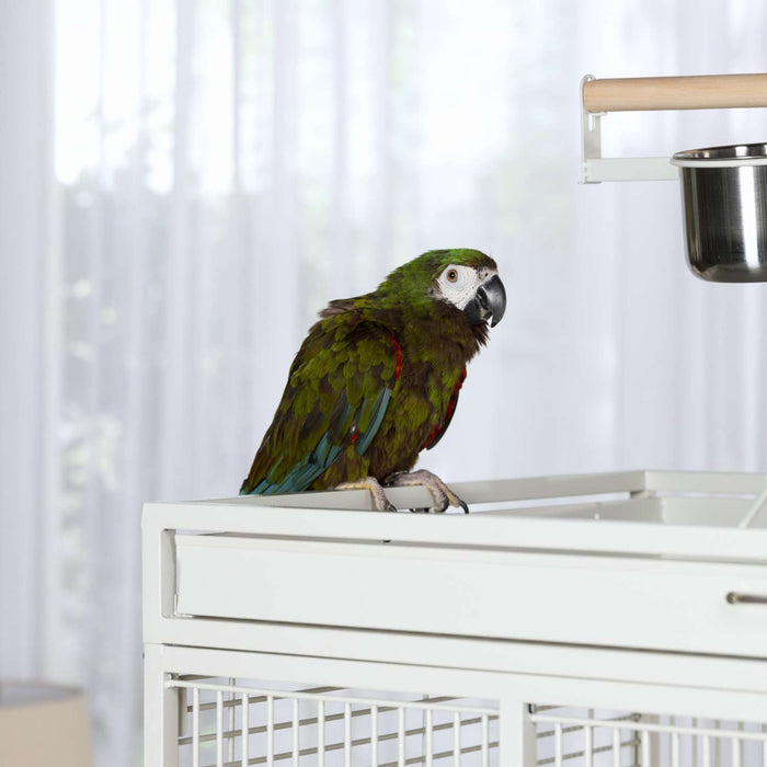 Prevue Pet Products Playtop 35-3/8" Bird Home