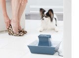 Petsafe Drinkwell Pagoda Ceramic Pet Fountain Blue