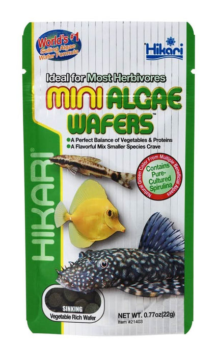 Hikari USA Algae Wafers Sinking Wafer Fish Food 0.77 oz Mini - Image 2