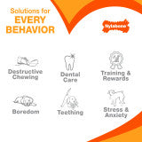 Nylabone Power Chew Textured Bone Dog Chew Toy 70th Birthday Orange Swirl Chicken X-Large (1 Count)