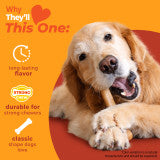 Nylabone Strong Chew Original Bone Dog Chew Toy Made with Real Chicken Large (1 Count)