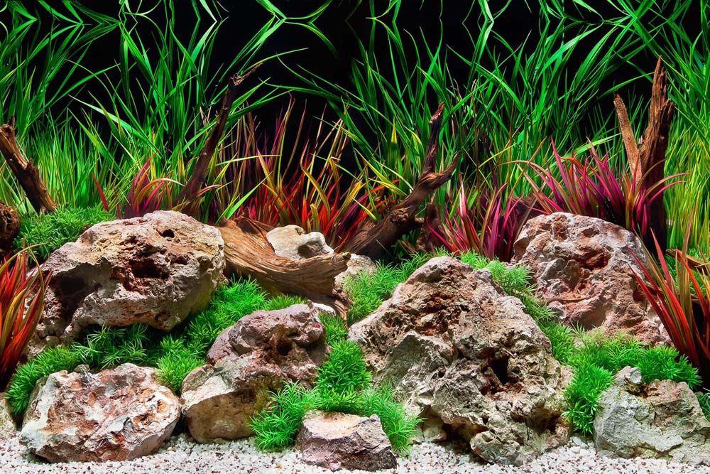 Seaview Double Sided Background Aquawild & Slateways 24 Inches X 50 Feet - Image 2