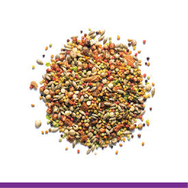 ZuPreem Pure Fun Bird Food Small Birds 2 lb