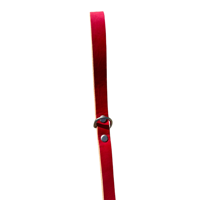 Rōmng handmade leather dog leash