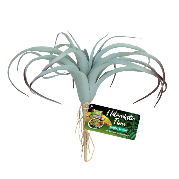 Zoo Med Naturalistic Flora Tillandsia Air Plant Terrarium Plant Gray, Tan