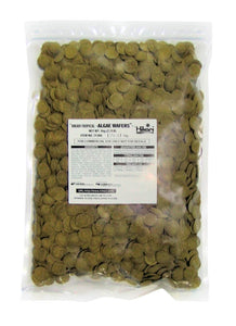 Hikari USA Algae Wafers Rapidly Sinking Wafer Fish Food 2.2 lb - Image 2
