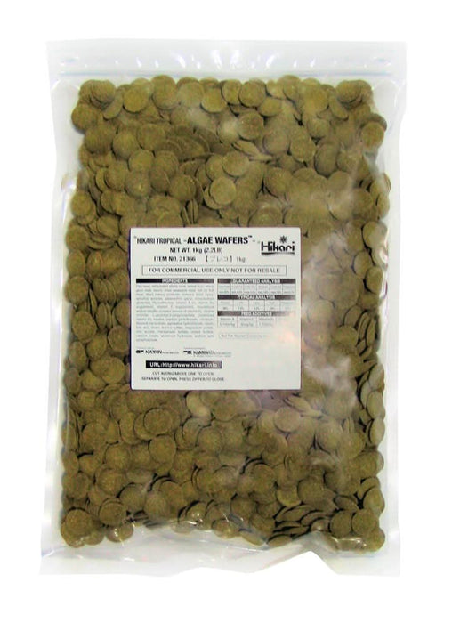 Hikari USA Algae Wafers Rapidly Sinking Wafer Fish Food 2.2 lb - Image 2