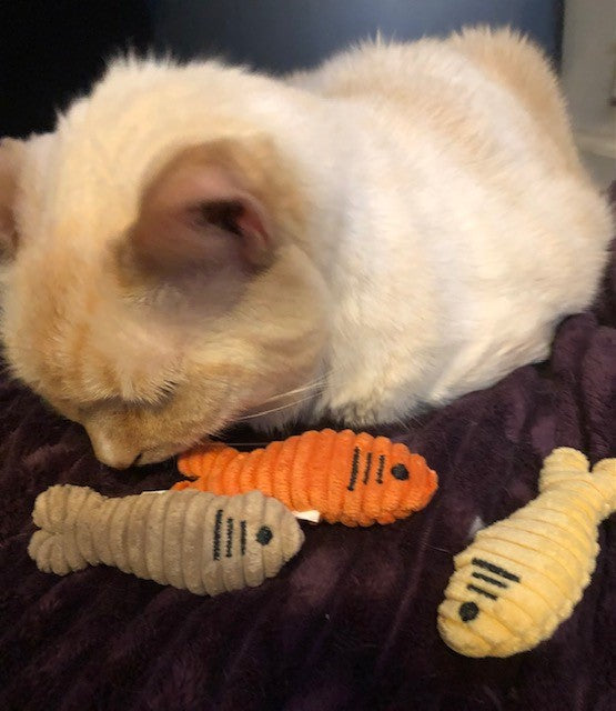 HuggleHounds HuggleKats® Sardinies Cat Toys (Pack of 3)