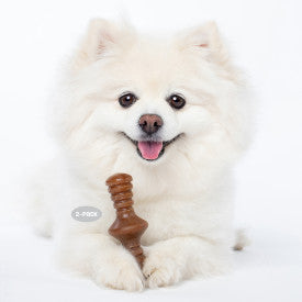 Benebone Stick & Zaggler Dog Chew Toy Maple & Bacon XS 2pk