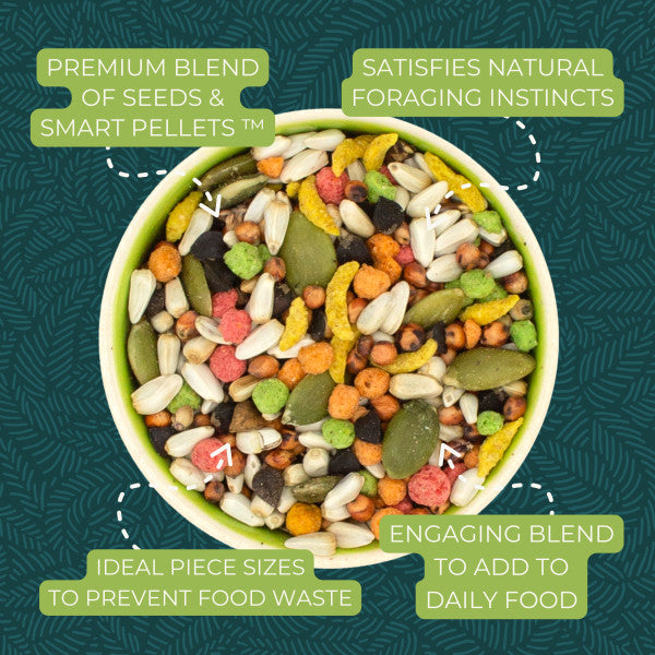 ZuPreem Sensible Seed Bird Food for Medium Birds - Lovebirds, Quakers, Small Conures, Cockatiels 2lb