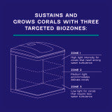 Coralife LED Biocube Marine or Freshwater Aquarium Kit 32